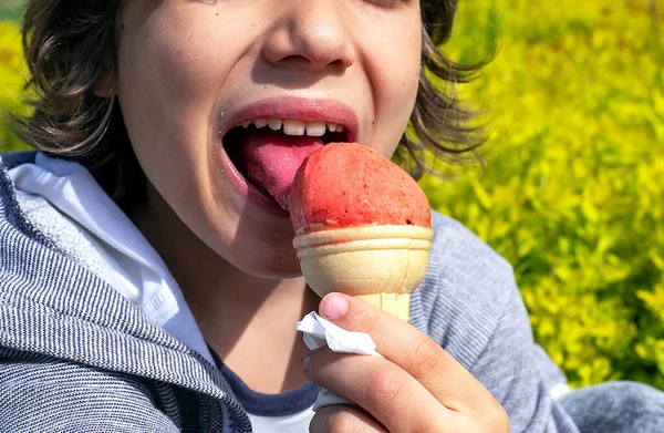 Smiling Child Licks Strawberry Natural Ice Cream His Tongue Walk —  Fotos de Stock