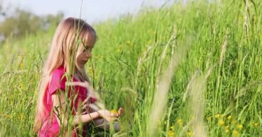 Uzun beyaz saçlı güzel Ukraynalı kız rüzgarlı bir akşamda avucundaki sarı çiçekleri topluyor.