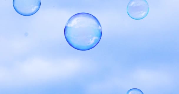 Heldere Zomer Zonnestraal Verlicht Veelkleurige Zeepbellen Vliegen Lucht Maken Zeepbellen — Stockvideo