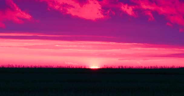 Krásný Západ Slunce Venkově Letní Den Zemědělství — Stock video