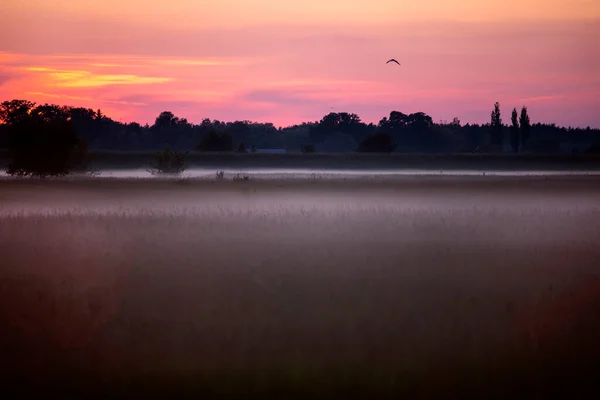 Beautiful Orange Sky Clouds Sunset Wild Meadow White Fog Horizon — Stock Photo, Image