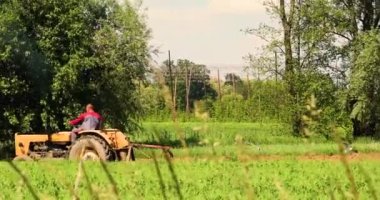 Traktördeki çiftçi etrafı kuşlarla çevrili arazisini işliyor. Kırsal