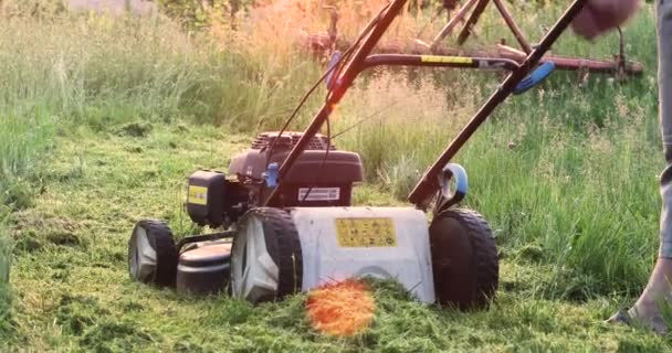 조각에 휘발유 잔디깎는 기계를 작동시키기 — 비디오
