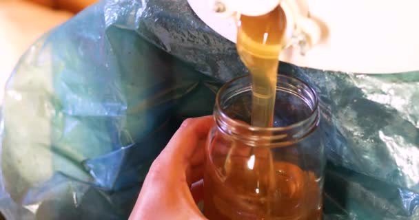 Vloeibare Honing Een Glazen Pot Gieten Bijenhouderij Landbouw — Stockvideo