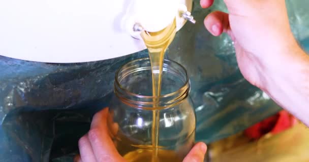 Наливаємо Рідкий Мед Тонкий Потік Скляну Банку Бджільницька Промисловість Сільське — стокове відео