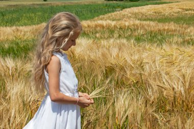 Beyaz uzun kıvırcık saçlı, altın olgunlaşmış buğdaylı bir tarlada beyaz elbiseli küçük bir kız rüzgarlı ve güneşli bir havada buğday topluyor. dünya krizi