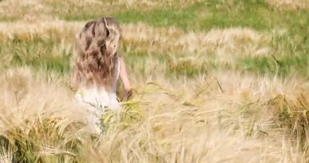 머리를 소녀는 날씨에 황금빛밀 들판으로 달려간다 — 비디오