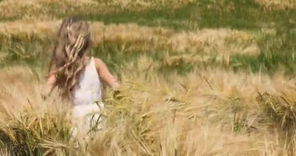 Niña Nuevo Con Pelo Largo Blanco Vestido Blanco Campo Con — Vídeos de Stock