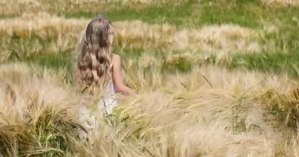 Маленька Дівчинка Білим Довгим Волоссям Білій Сукні Біжить Відстань Поле — стокове відео