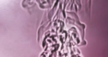 Tek renkli arka planda hareket eden sıvının bulanık arkaplanı. Grafiksel kaynak