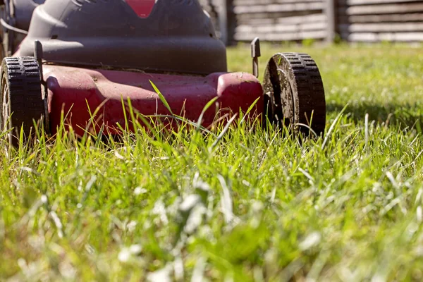 Güneşli bir günde, yeşil bir çimenlikte güneşe karşı elektrikli çim biçme makinesi.