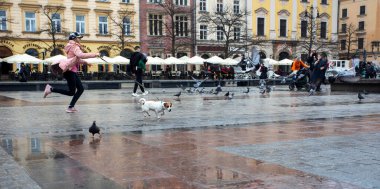 happy girl on a walk with a dog jack russell terrier on a leash runs along the street in the city, season