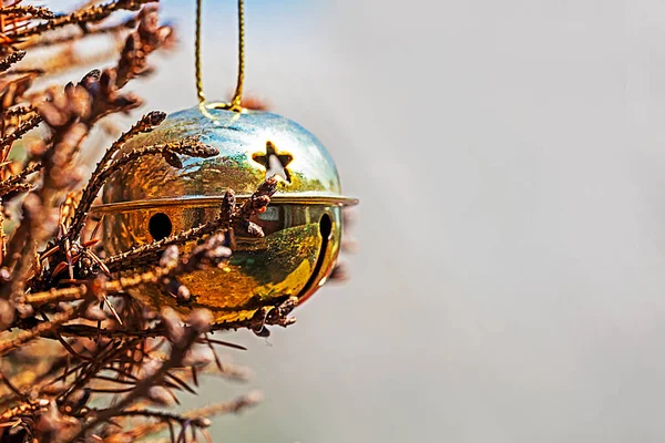 Shiny Christmas Ball Hangs Brown Spruce Christmas Backgroun — Stockfoto