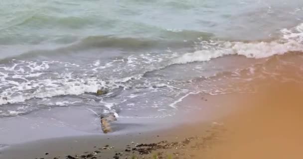 Beautiful Movement Waves Foam Beach Yellow Sand Noon Tourism — Stockvideo