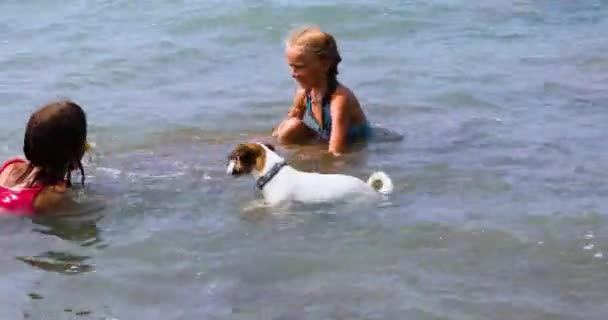 Happy Girls Sisters Play Jack Russell Terrier Yellow Ball Sea — Stok video