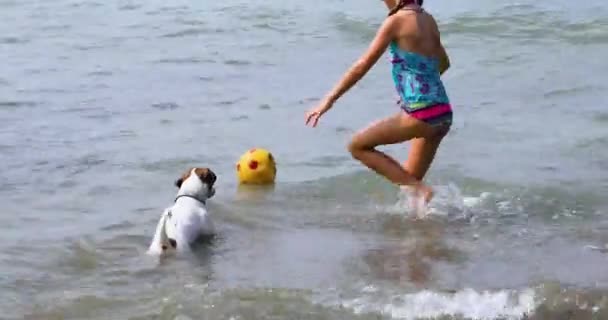 Happy Little Girl Swimming Goggles Plays Jack Russell Terrier Ball — Stock videók
