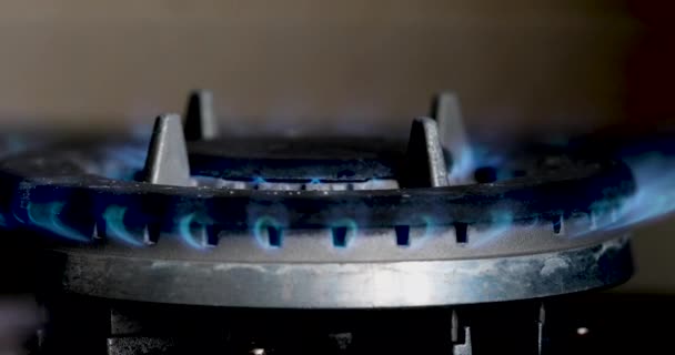 Gas Stove Included Gases Dark Background Energy Crisis Gas Saving — Stock Video