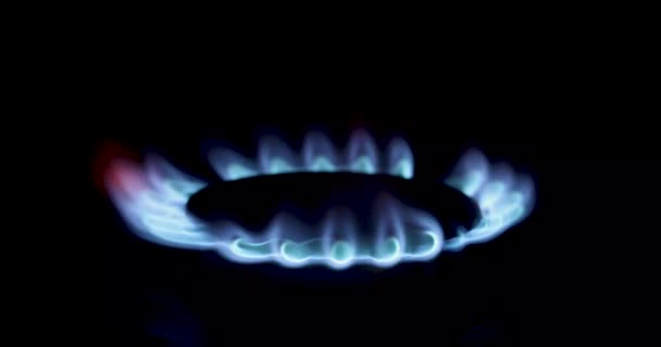 Flamme Bleu Gaz Sur Une Cuisinière Gaz Dans Noir Économie — Video