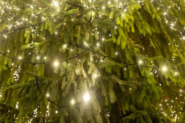 Noel ağacı seçici odaklı bayram süslemesi