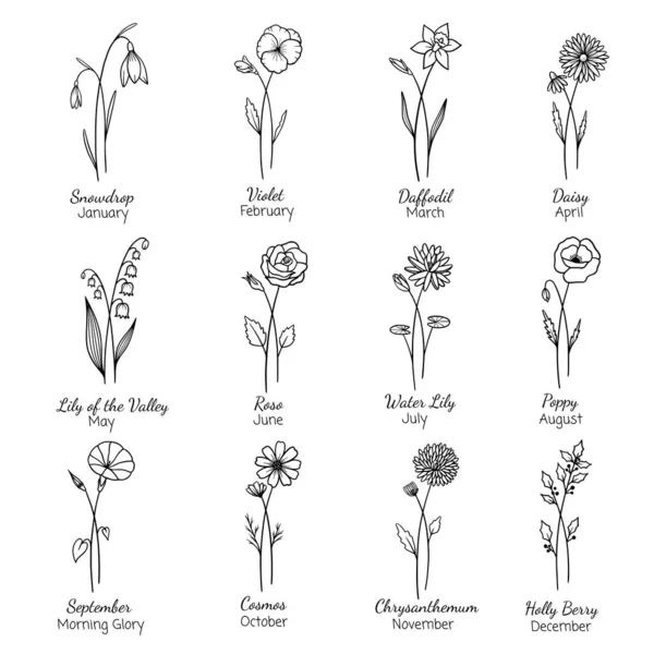 birth-month-flower-vector-images-depositphotos