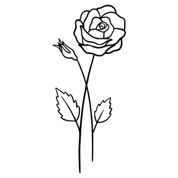 Fiori Rosa Sfondo Bianco Illustrazione Disegnata Mano Fiore Rosa Estivo — Vettoriale Stock
