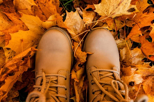 Boty Podzimních Listech Koncept Útulného Podzimu — Stock fotografie