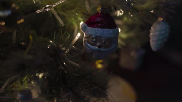Gyönyörű Díszített Karácsonyfa Koszorúval Nappaliban Kellemes Téli Este Videó — Stock videók
