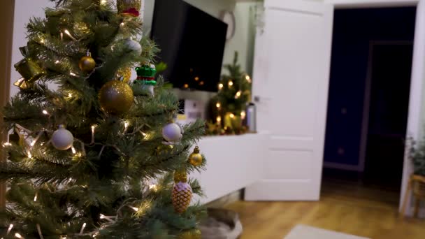 Krásný Zdobený Vánoční Stromek Věncem Obývacím Pokoji Útulný Zimní Večer — Stock video