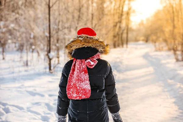 Kırmızı Şapkalı Eşarplı Küçük Bir Kız Kış Ormanlarında Karla Kaplı — Stok fotoğraf