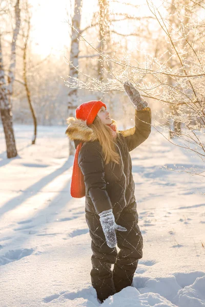 赤い帽子のかわいい女の子は 冬の森の太陽の下で雪に覆われた小枝を賞賛しています 美しい風景 — ストック写真