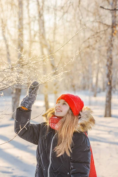 赤い帽子のかわいい女の子は 冬の森の太陽の下で雪に覆われた小枝を賞賛しています 美しい風景 — ストック写真