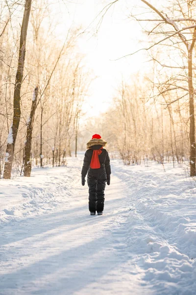 Yaşında Kırmızı Şapkalı Küçük Bir Kız Kış Ormanında Güneş Işığıyla — Stok fotoğraf