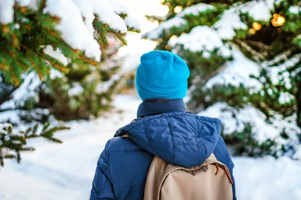 晴れた冬の日には 雪に覆われたモミの木の森の中にバックパックを持った男の後ろの景色 — ストック写真