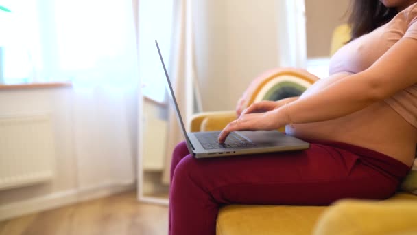 Uma Mulher Grávida Está Sentada Sofá Usando Laptop Compras Online — Vídeo de Stock