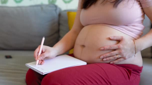 妊娠中の女性がソファに座っていると 彼女の胃を撫でながらノートブックに赤ちゃんのための買い物リストを書いています — ストック動画