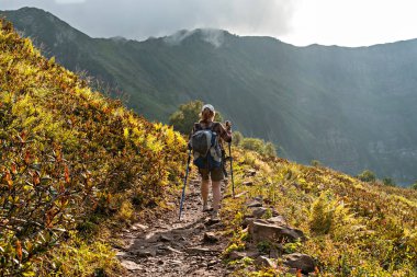 Genç bir kadının ekose gömlekli, büyük sırt çantalı, yürüyüş direkleri ile dağ yürüyüşü yapan rhododendron ve eğreltiotu bitkileri arasında yürüyen sağlıklı aktif yaşam tarzı, hafta sonu aktiviteleri.