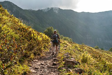 Genç bir kadının ekose gömlekli, büyük sırt çantalı, yürüyüş direkleri ile dağ yürüyüşü yapan rhododendron ve eğreltiotu bitkileri arasında yürüyen sağlıklı aktif yaşam tarzı, hafta sonu aktiviteleri.