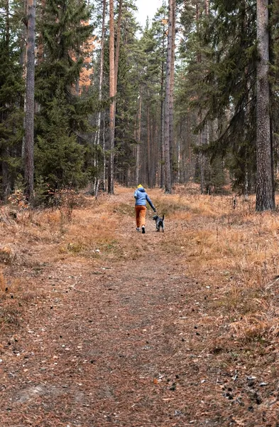 Rückansicht Einer Jungen Frau Die Mit Flauschigem Grauen Hund Auf — Stockfoto