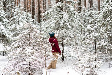 Kırmızı ceketli genç bir kadın kışın karlı kozalaklı ormanda yürüyor, doğada güzellik, aktif yaşam tarzı kış yürüyüşü doğanın tadını çıkarıyor.