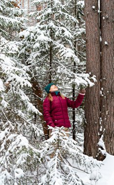 Young cheerful woman in red jacket enjoying snow falling from fir tree in winter forest, walking beauty in nature, active lifestyle, winter hiking