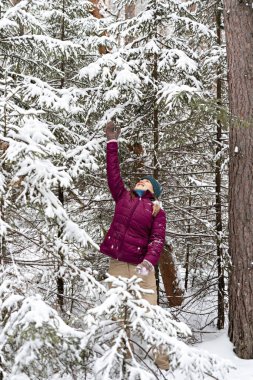 Young cheerful woman in red jacket enjoying snow falling from fir tree in winter forest, walking beauty in nature, active lifestyle, winter hiking
