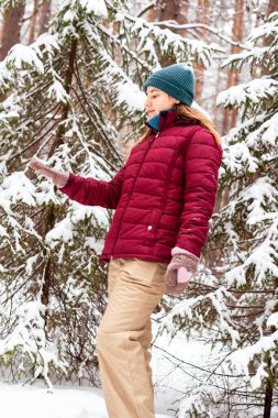 Kırmızı ceketli genç bir kadın kışın karlı kozalaklı ormanda yürüyor, doğada güzellik, aktif yaşam tarzı kış yürüyüşü doğanın tadını çıkarıyor.