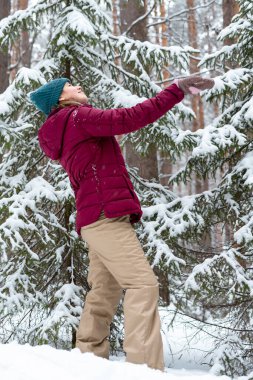Kırmızı ceketli genç bir kadın kışın karlı kozalaklı ormanda yürüyor, doğada güzellik, aktif yaşam tarzı kış yürüyüşü doğanın tadını çıkarıyor.