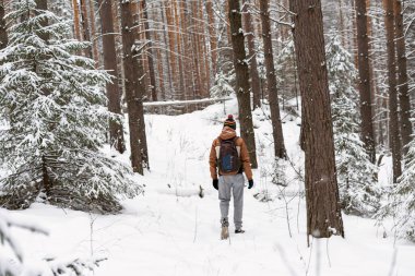 Sırt çantalı genç adam kışın karlı ormanda yürürken, kar yürüyüşü yaparken, aktif bir yaşam tarzında.