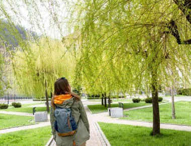 Sırt çantalı genç bir turist, genç bahar yapraklarıyla salkım söğüdü sokağında yürüyor.