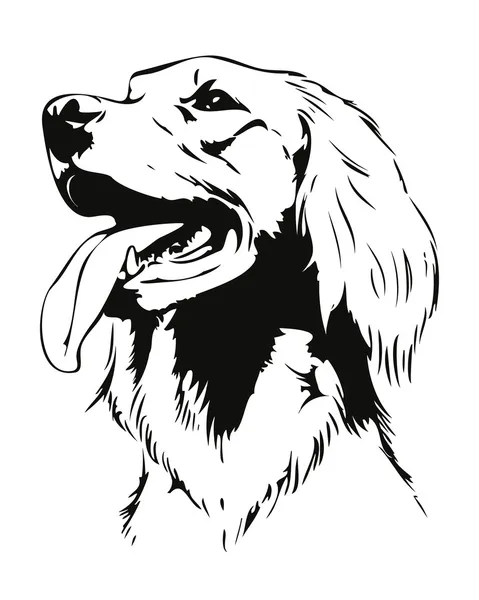 Cabeza de perro setter irlandés — Vector de stock