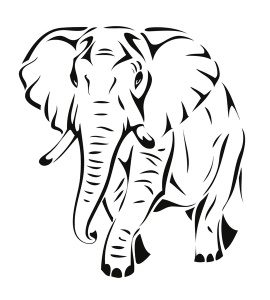 African elephant walking — Stock Vector