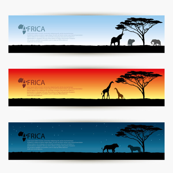 Africa banner
