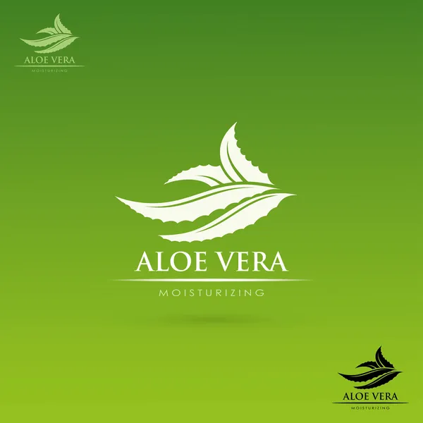 Aloë vera — Stockvector