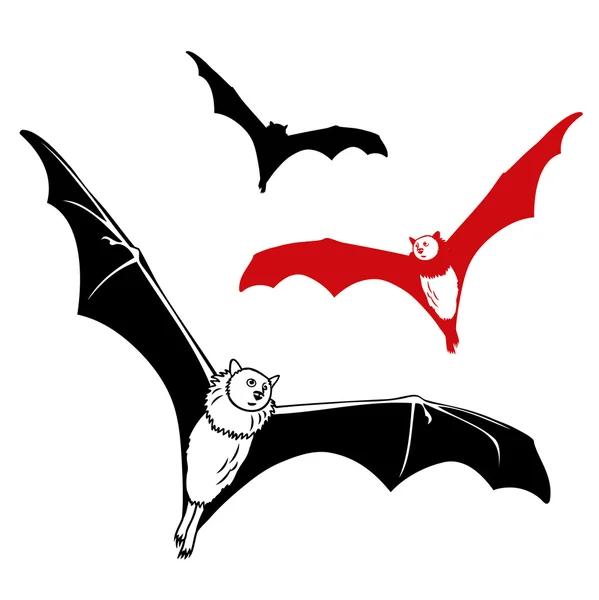 Bats — Stock Vector